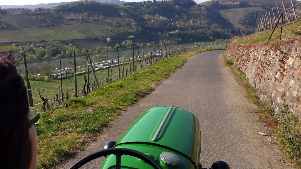 Ferienweingut Hirschen Schulstrasse Bed & Breakfast Burg  Eksteriør bilde