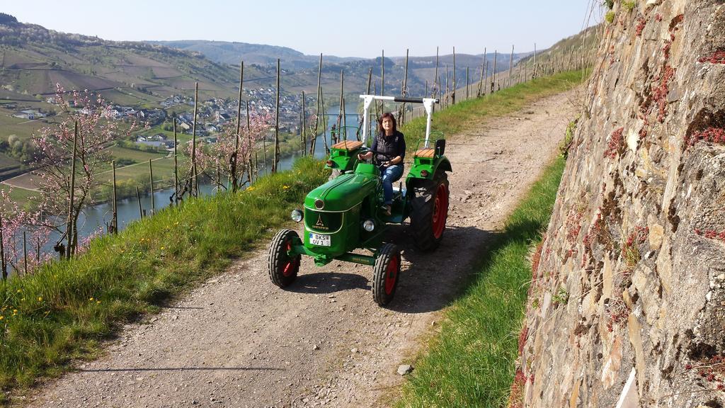 Ferienweingut Hirschen Schulstrasse Bed & Breakfast Burg  Eksteriør bilde