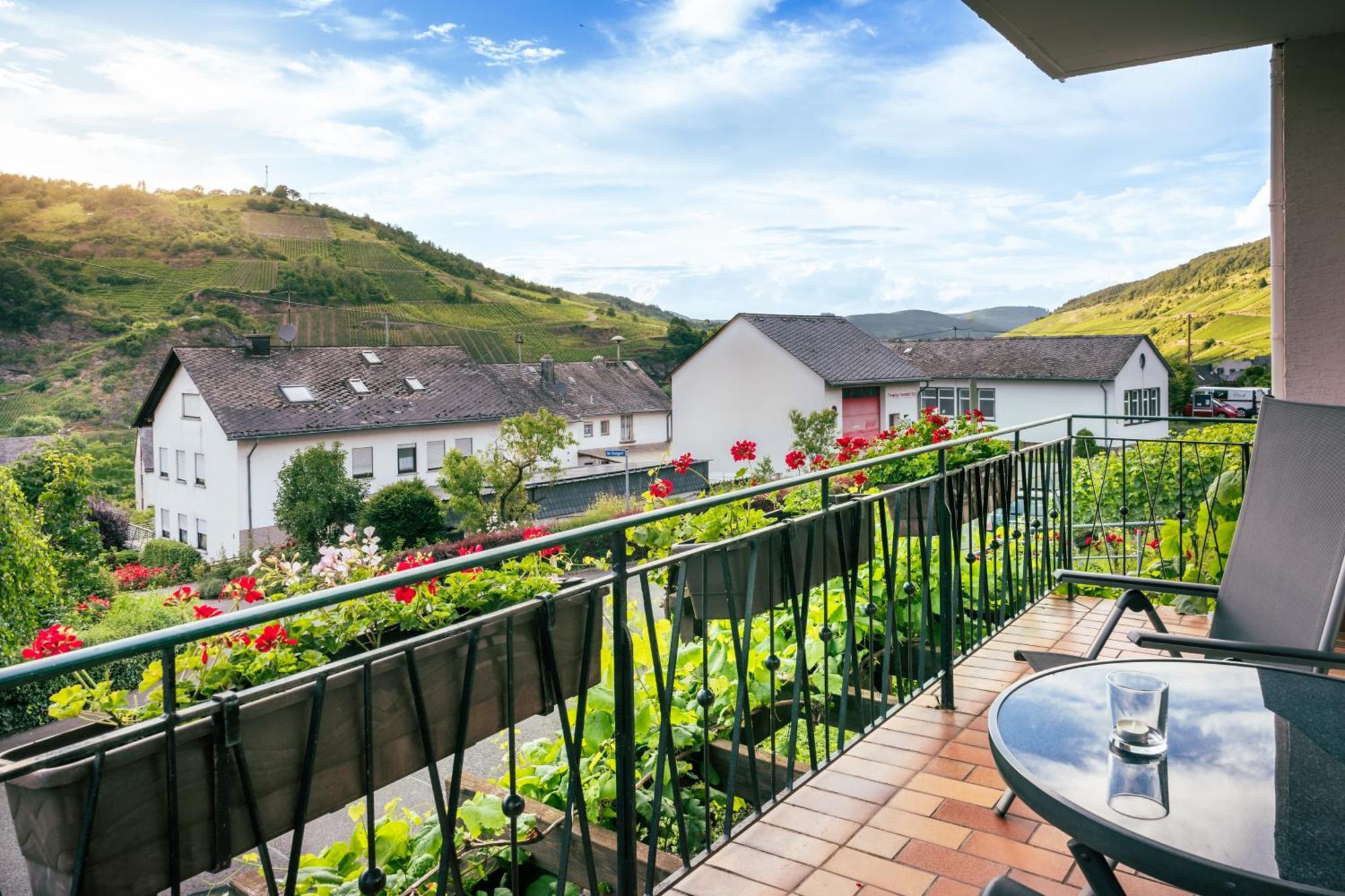 Ferienweingut Hirschen Schulstrasse Bed & Breakfast Burg  Eksteriør bilde