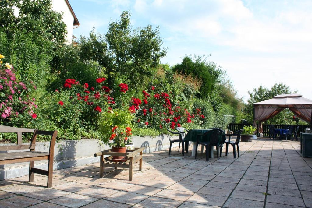 Ferienweingut Hirschen Schulstrasse Bed & Breakfast Burg  Eksteriør bilde
