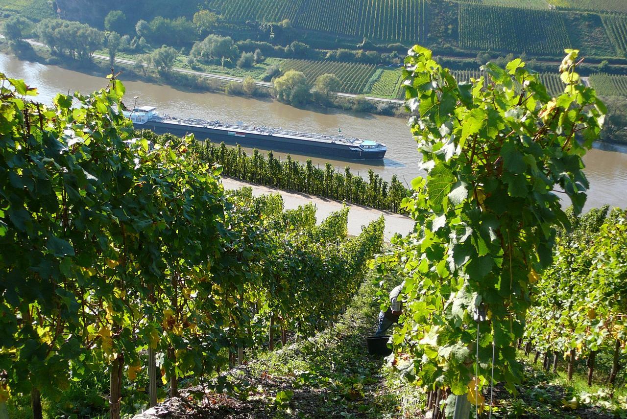 Ferienweingut Hirschen Schulstrasse Bed & Breakfast Burg  Eksteriør bilde
